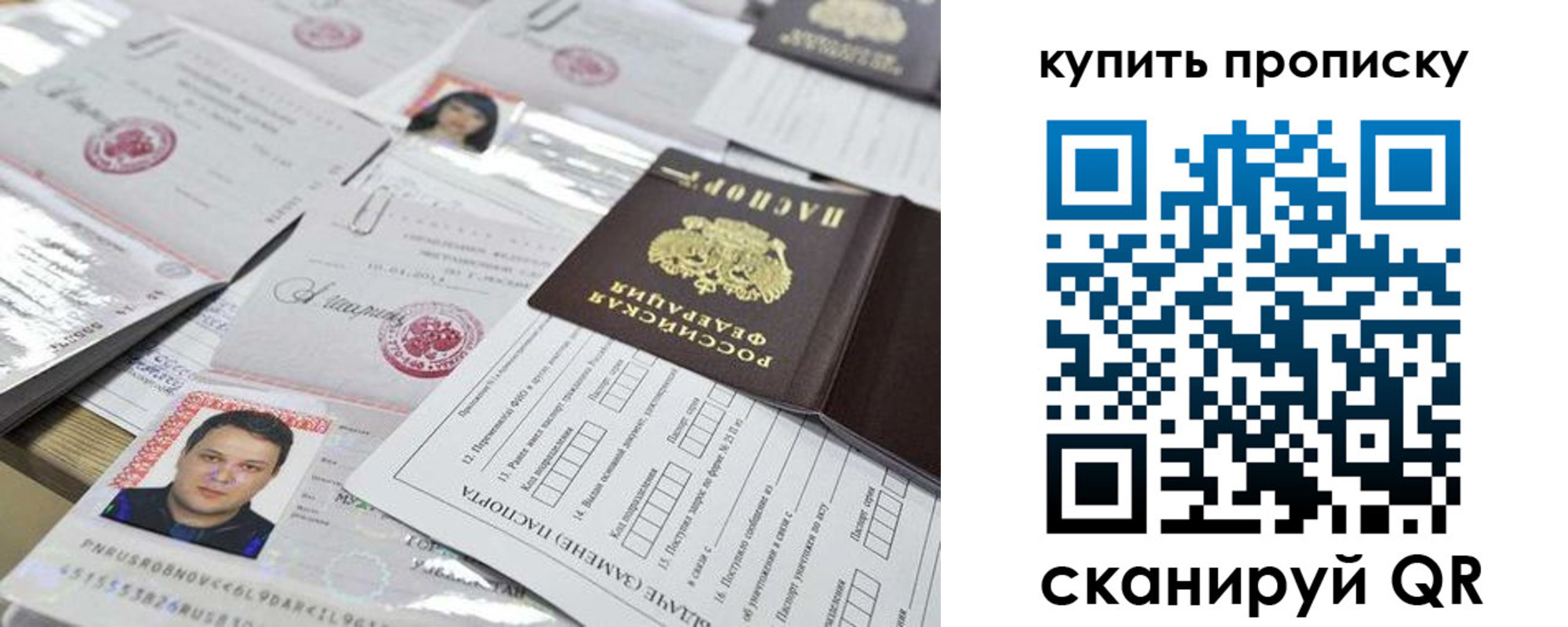 прописка гарантия в Новозыбкове